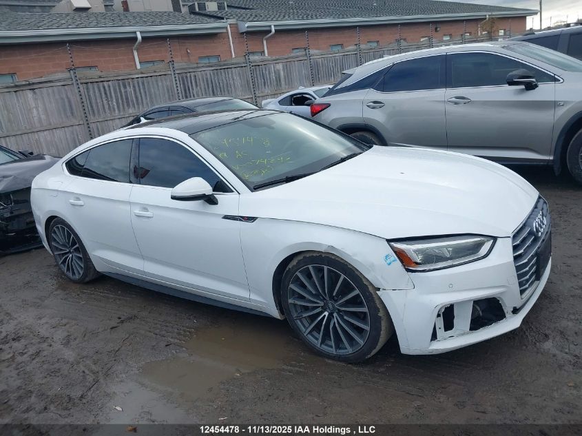 2019 Audi A5 45 Progressiv VIN: WAUENCF5XKA074242 Lot: 12454478