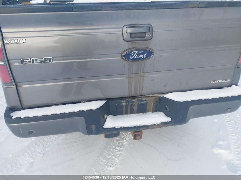1FTFW1EF9EKG13175 2014 FORD F-150 photo no. 6