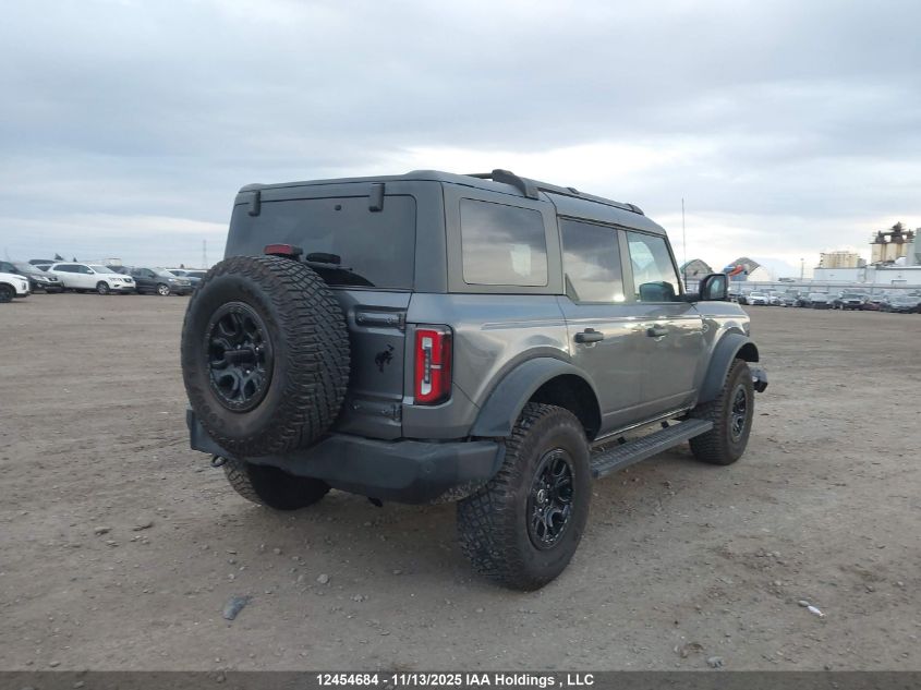 2023 Ford Bronco Big Bend/Black Diamond/Outer Banks/Badlands/Wildtrak/Everglades VIN: 1FMEE5DP0PLB08683 Lot: 12454684