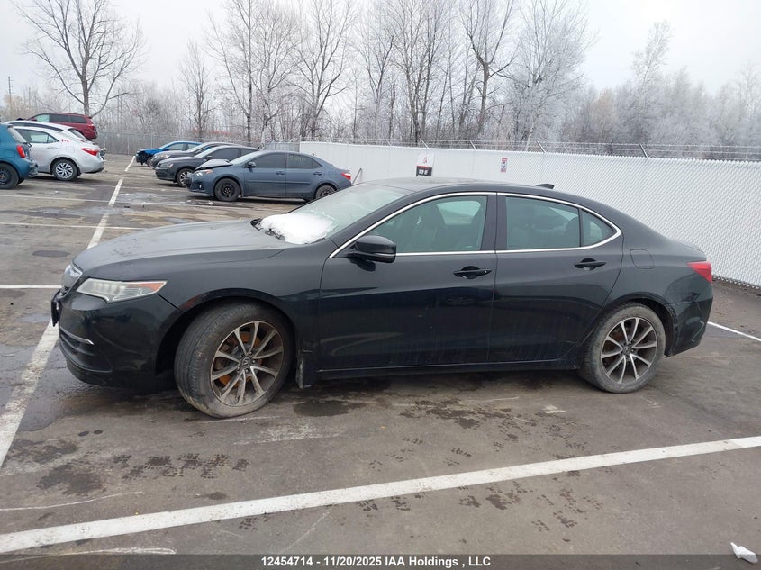 2016 Acura Tlx Tech VIN: 19UUB3F53GA800393 Lot: 12454714