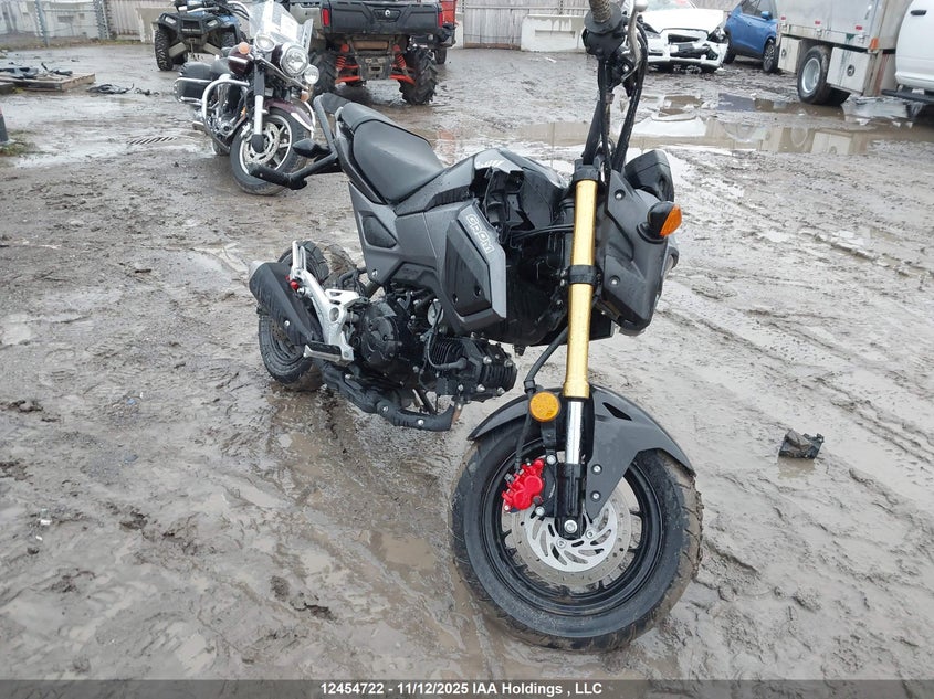 MLHJC7520J5000256 HONDA GROM Photo 1