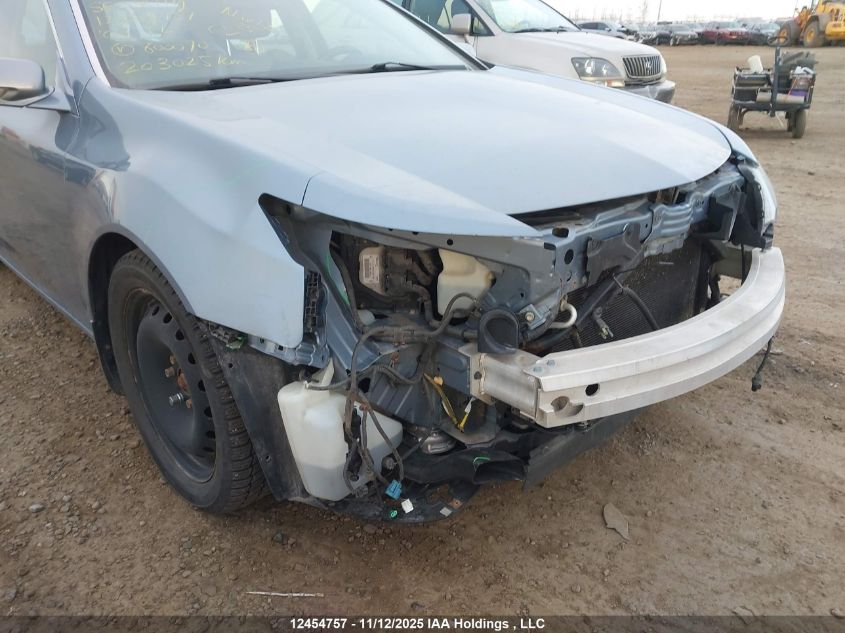 2009 Acura Tl VIN: 19UUA96509A800070 Lot: 12454757