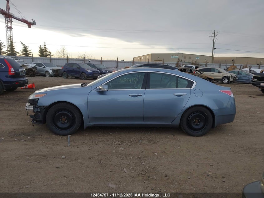 2009 Acura Tl VIN: 19UUA96509A800070 Lot: 12454757