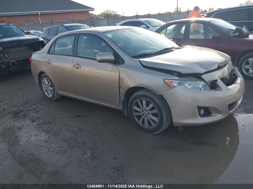 2T1BU4EEXAC285127 2010 Toyota Corolla auction photo 1