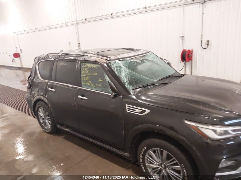 JN8AZ2AE8P9301190 2023 INFINITI QX80 photo no. 6