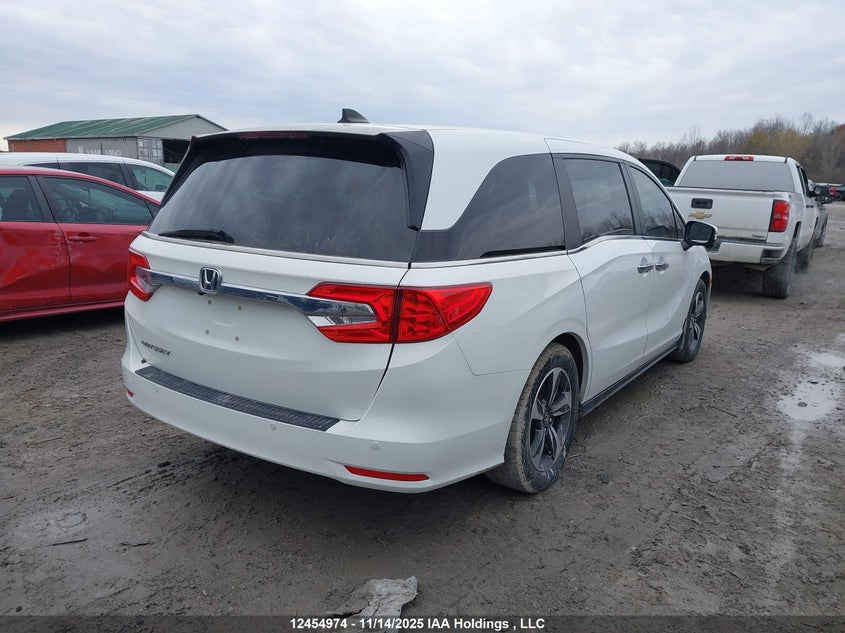 5FNRL6H65LB505029 2020 HONDA ODYSSEY photo no. 4