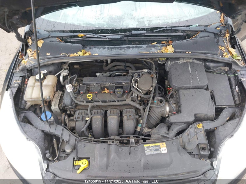 2013 Ford Focus VIN: 1FADP3F26DL281187 Lot: 12455015