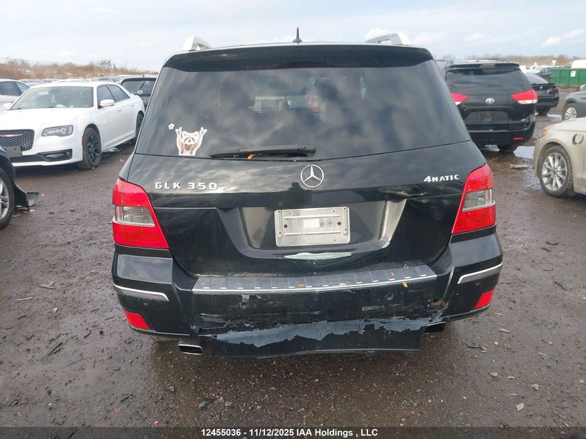 2010 Mercedes-Benz Glk-Class VIN: WDCGG8HB2AF436307 Lot: 12455036