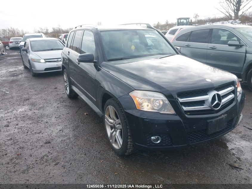 WDCGG8HB2AF436307 2010 Mercedes-Benz Glk-Class auction photo 1