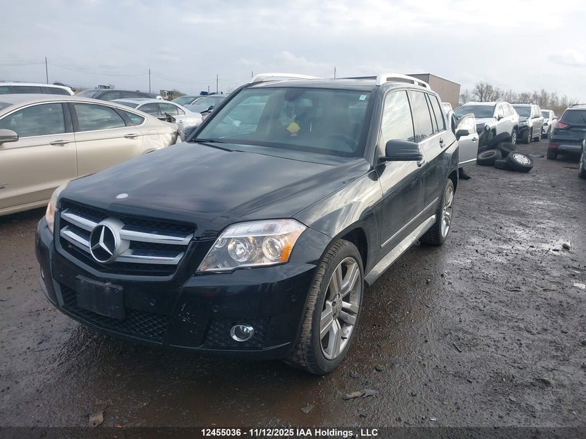 WDCGG8HB2AF436307 2010 MERCEDES-BENZ GLK-KLASSE photo no. 2