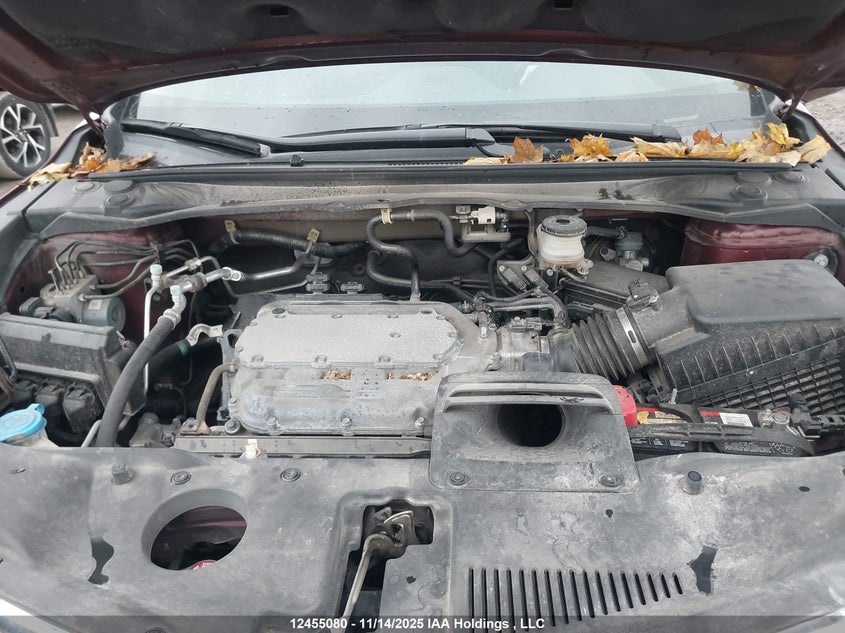 2014 Acura Rdx VIN: 5J8TB4H37EL801903 Lot: 12455080