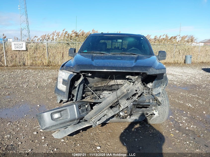 1FTFW1EF2GFD23646 2016 FORD F-150 photo no. 12