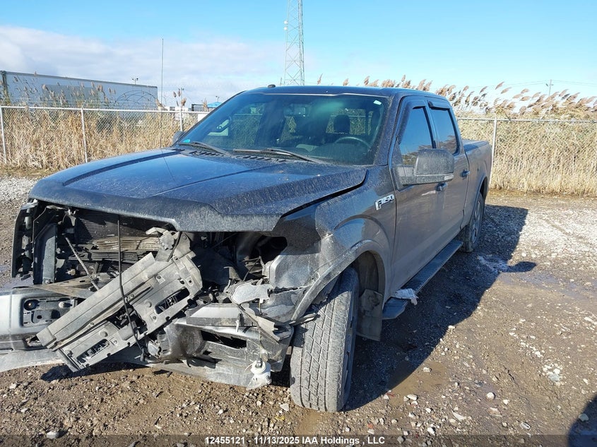 1FTFW1EF2GFD23646 2016 FORD F-150 photo no. 2