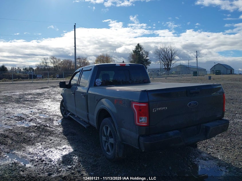 1FTFW1EF2GFD23646 2016 FORD F-150 photo no. 3