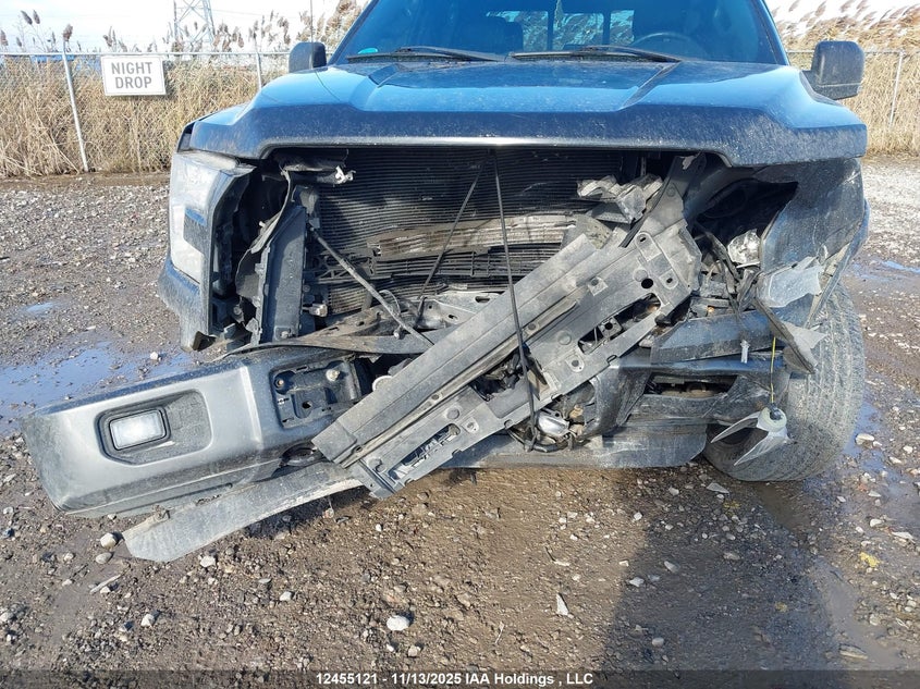 1FTFW1EF2GFD23646 2016 FORD F-150 photo no. 6