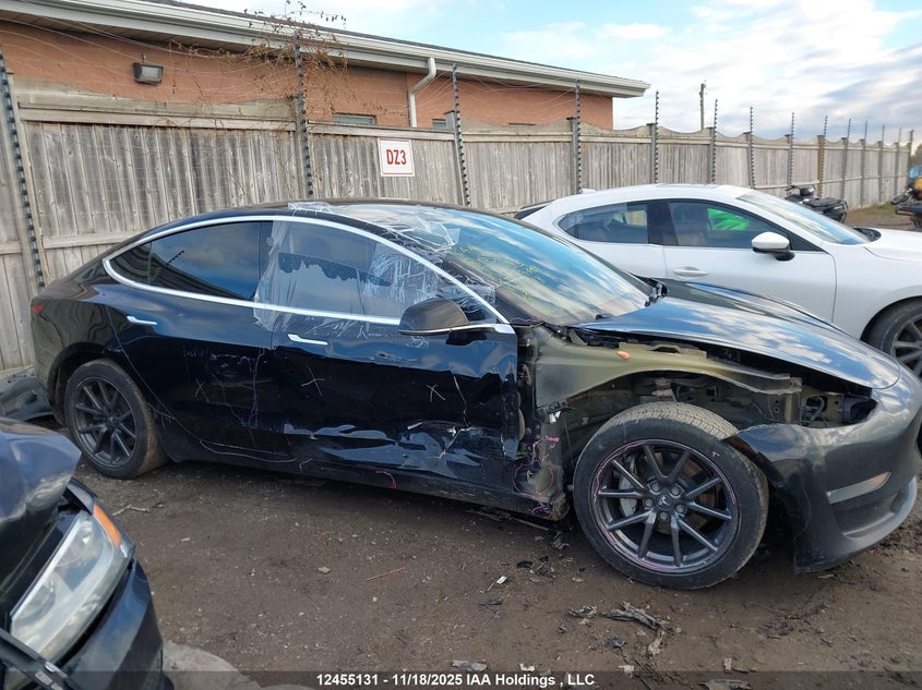 2019 Tesla Model 3 VIN: 5YJ3E1EA1KF329364 Lot: 12455131