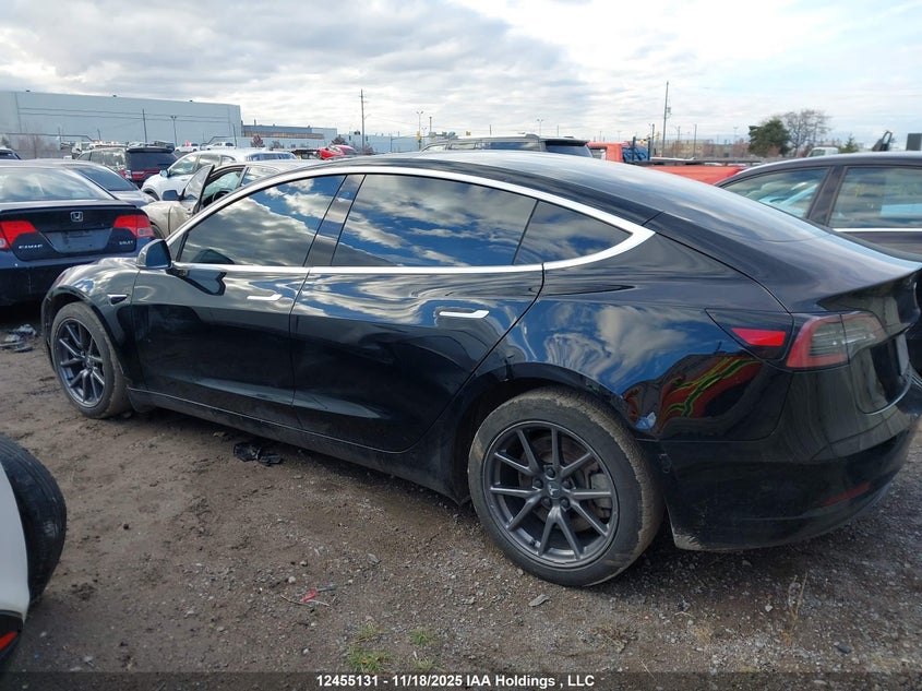 2019 Tesla Model 3 VIN: 5YJ3E1EA1KF329364 Lot: 12455131
