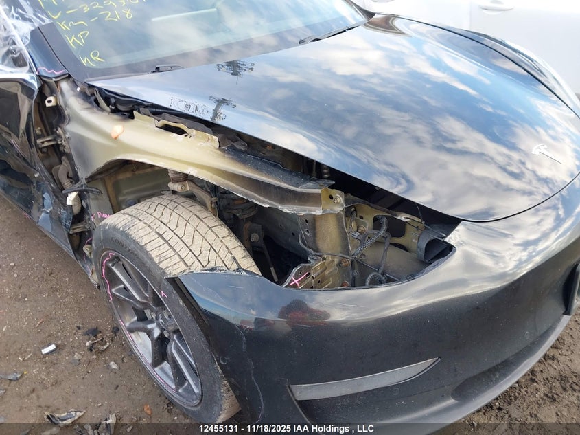 2019 Tesla Model 3 VIN: 5YJ3E1EA1KF329364 Lot: 12455131