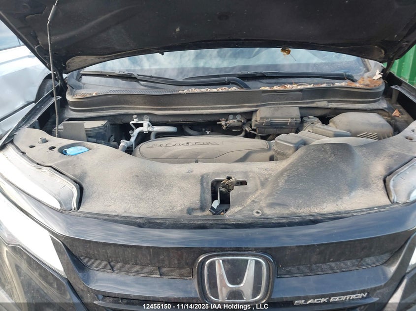 2021 Honda Pilot Black Edition VIN: 5FNYF6H06MB502883 Lot: 12455150