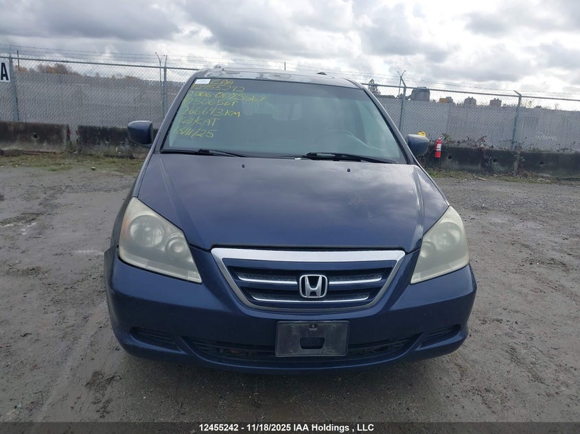 2006 Honda Odyssey Exl VIN: 5FNRL38606B506561 Lot: 12455242