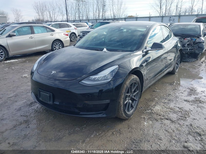 5YJ3E1EA1KF403186 2019 TESLA MODEL 3 photo no. 2