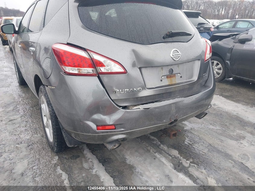 2013 Nissan Murano S/Sl/Le VIN: JN8AZ1MW5DW303023 Lot: 12455406
