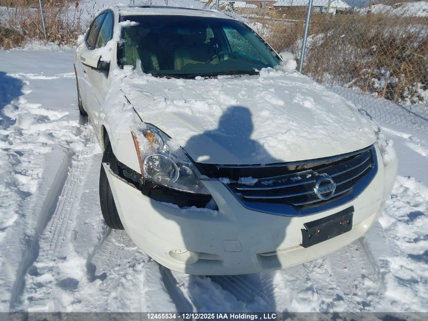 2010 Nissan Altima VIN: 1N4AL2AP4AC124264 Lot: 12455534