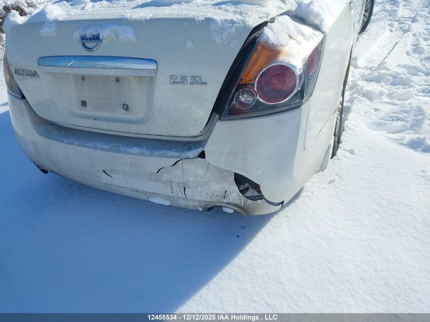 2010 Nissan Altima VIN: 1N4AL2AP4AC124264 Lot: 12455534