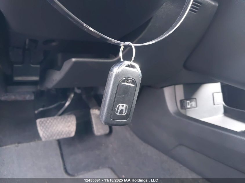 2019 Honda Civic VIN: 2HGFC2F77KH032042 Lot: 12455591