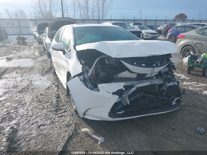 5YFB4MDE5PP039967 2023 Toyota Corolla Le auction photo 1