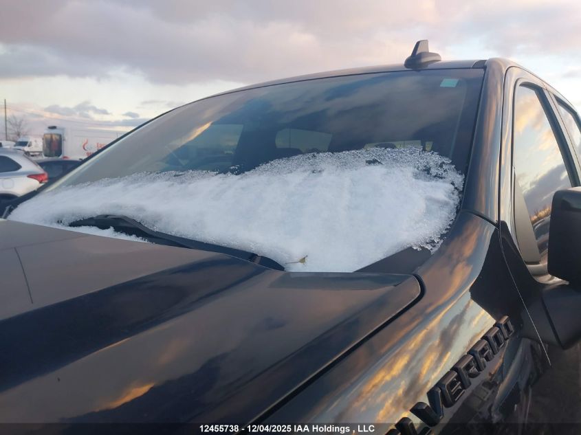 2020 Chevrolet Silverado 1500 VIN: 1GCUYEED4LZ336852 Lot: 12455738