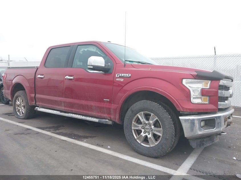 1FTEW1EP4GFD02074 2016 FORD F-150 photo no. 13