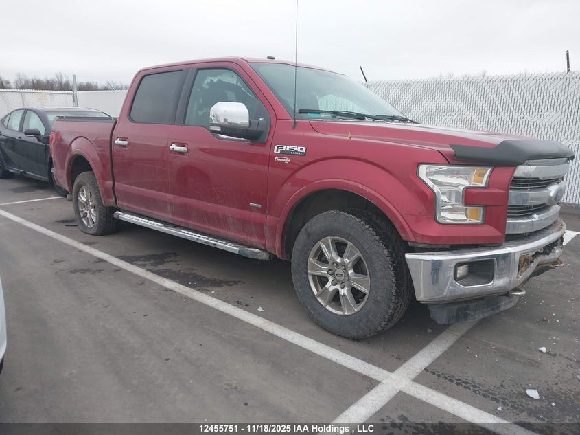 1FTEW1EP4GFD02074 2016 FORD F-150 photo no. 12