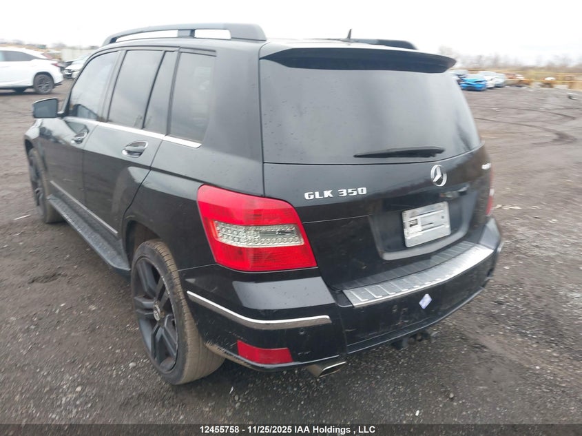 WDCGG8HB1AF342273 2010 MERCEDES-BENZ GLK-KLASSE photo no. 3