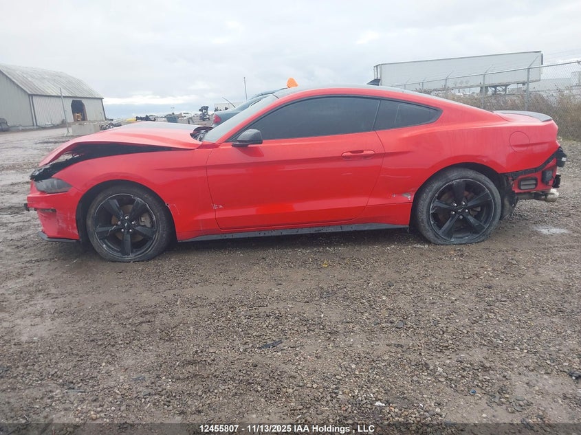 2021 Ford Mustang Ecoboost Premium VIN: 1FA6P8TH0M5125889 Lot: 12455807
