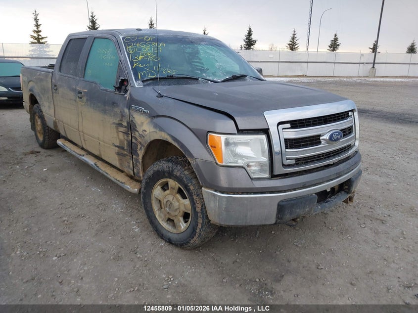 1FTFW1EF9DFC08151 2013 Ford F-150 Xlt auction photo 1