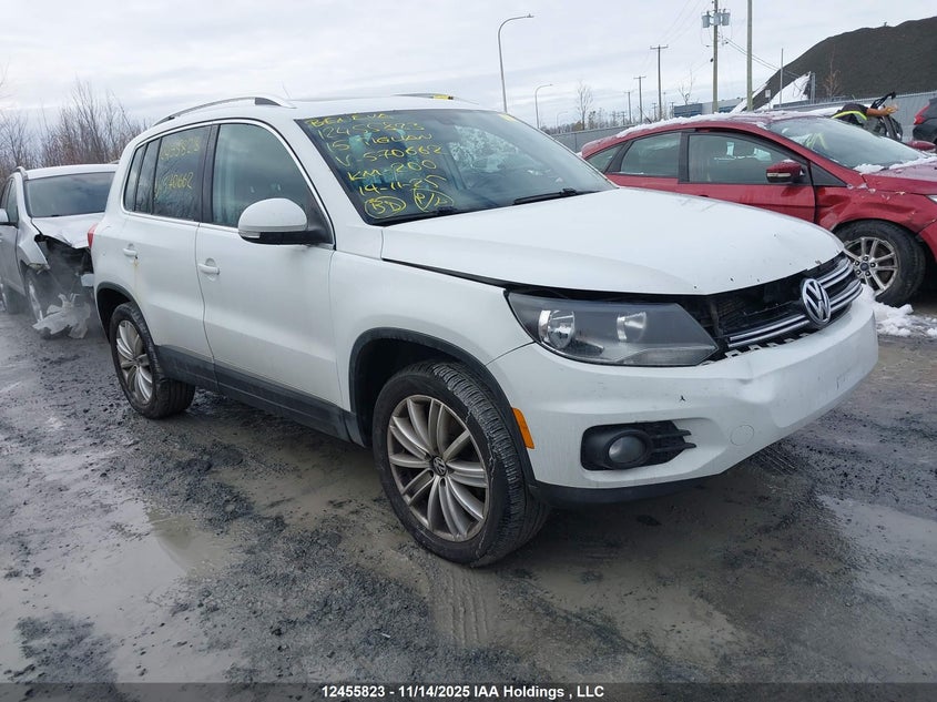 WVGJV7AX6FW570662 2015 VOLKSWAGEN TIGUAN photo no. 21