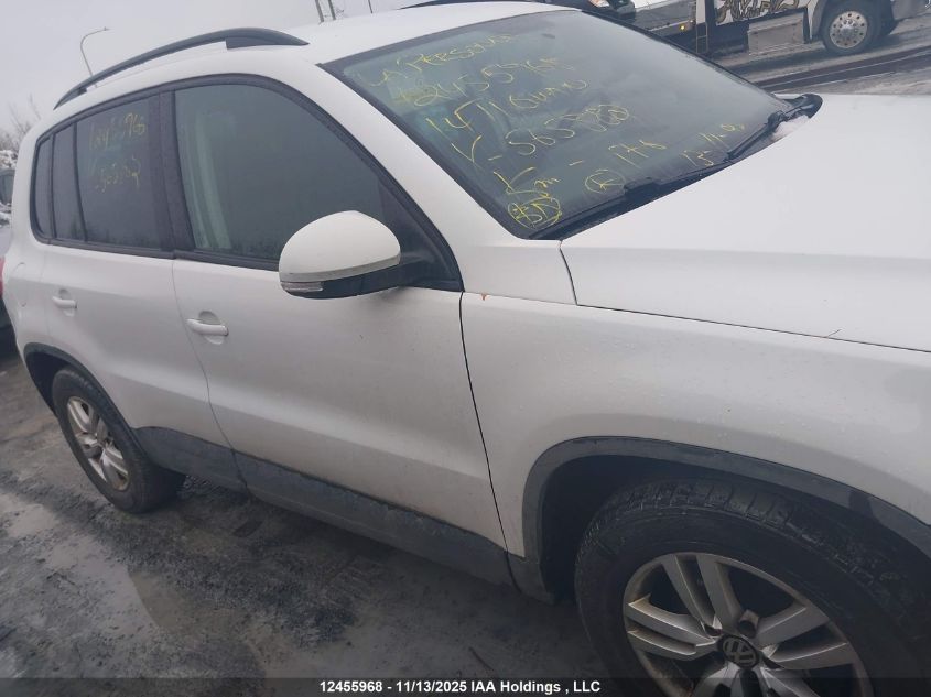 2014 Volkswagen Tiguan S/Se/Sel/R-Line VIN: WVGJV3AX7EW565882 Lot: 12455968