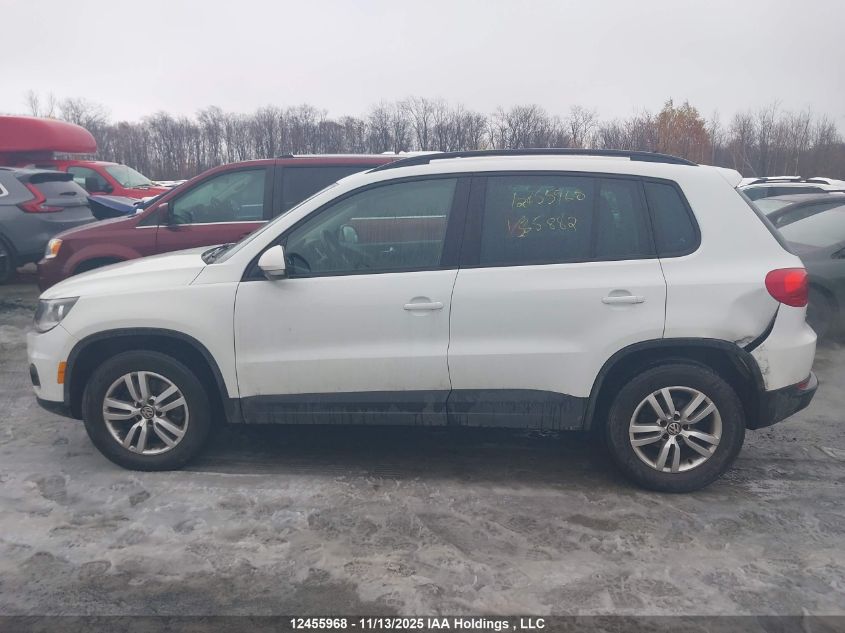 2014 Volkswagen Tiguan S/Se/Sel/R-Line VIN: WVGJV3AX7EW565882 Lot: 12455968