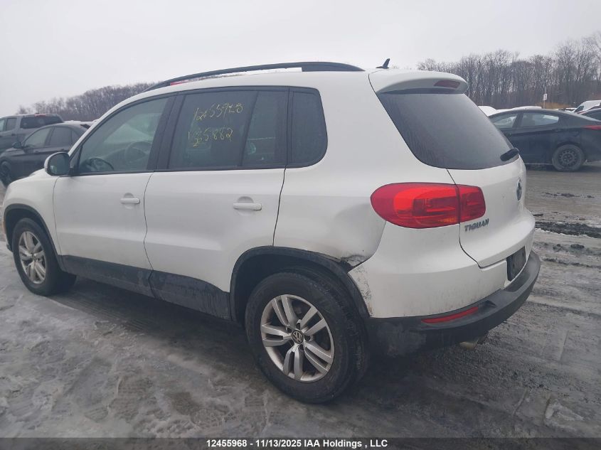 2014 Volkswagen Tiguan S/Se/Sel/R-Line VIN: WVGJV3AX7EW565882 Lot: 12455968