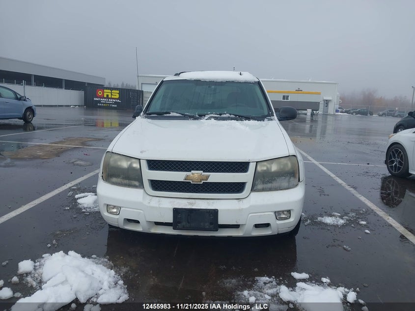 2009 Chevrolet Trailblazer VIN: 1GNDT33S992120816 Lot: 12455983