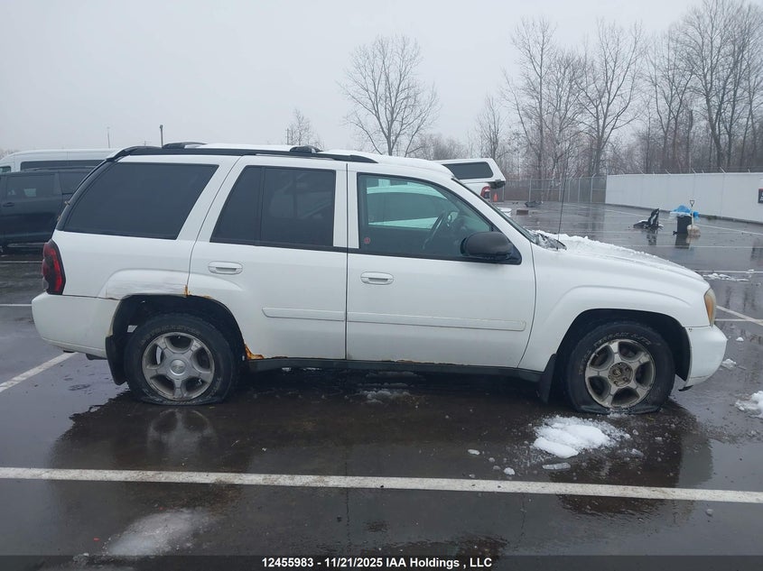 2009 Chevrolet Trailblazer VIN: 1GNDT33S992120816 Lot: 12455983