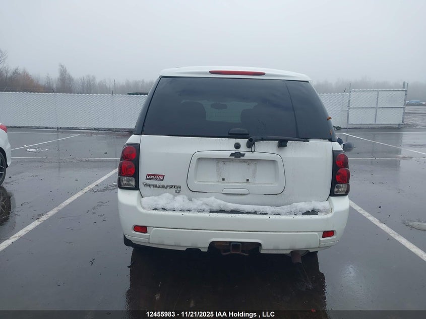 2009 Chevrolet Trailblazer VIN: 1GNDT33S992120816 Lot: 12455983