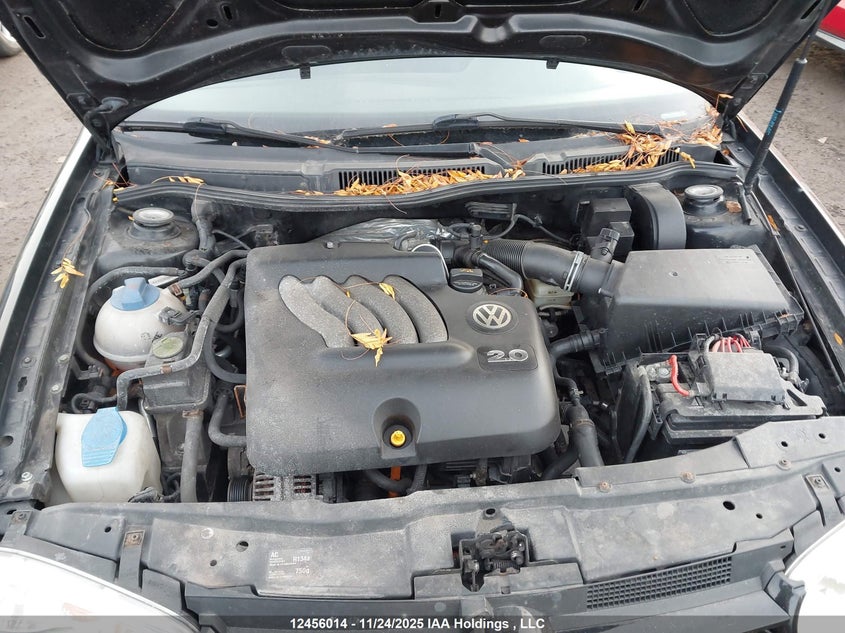 2004 Volkswagen Golf Gls VIN: 9BWGL61J644038109 Lot: 12456014