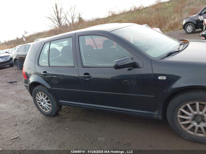 2004 Volkswagen Golf Gls VIN: 9BWGL61J644038109 Lot: 12456014