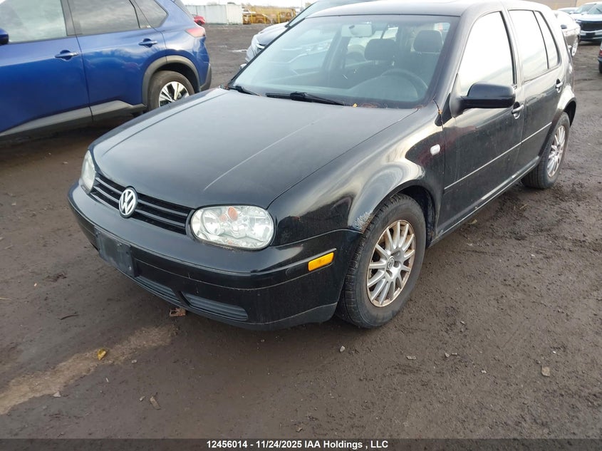 2004 Volkswagen Golf Gls VIN: 9BWGL61J644038109 Lot: 12456014