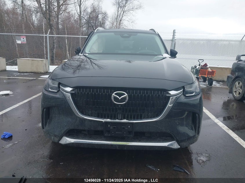 2025 Mazda Cx-9 VIN: JM3KKDHD1S1236484 Lot: 12456028