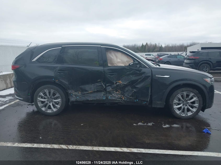 2025 Mazda Cx-9 VIN: JM3KKDHD1S1236484 Lot: 12456028