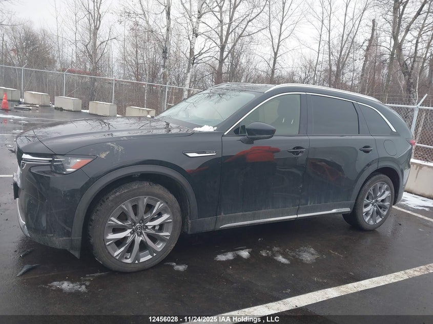 2025 Mazda Cx-9 VIN: JM3KKDHD1S1236484 Lot: 12456028