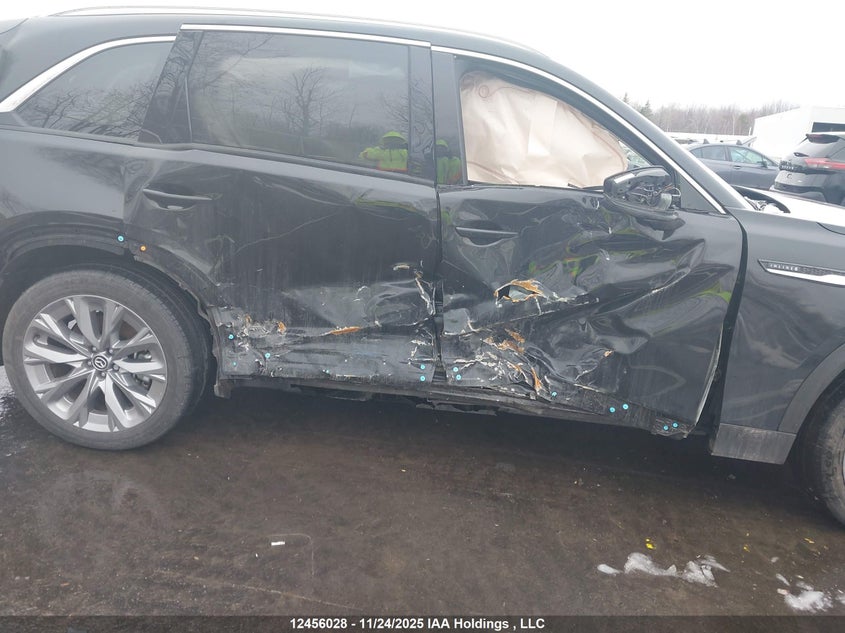 2025 Mazda Cx-9 VIN: JM3KKDHD1S1236484 Lot: 12456028